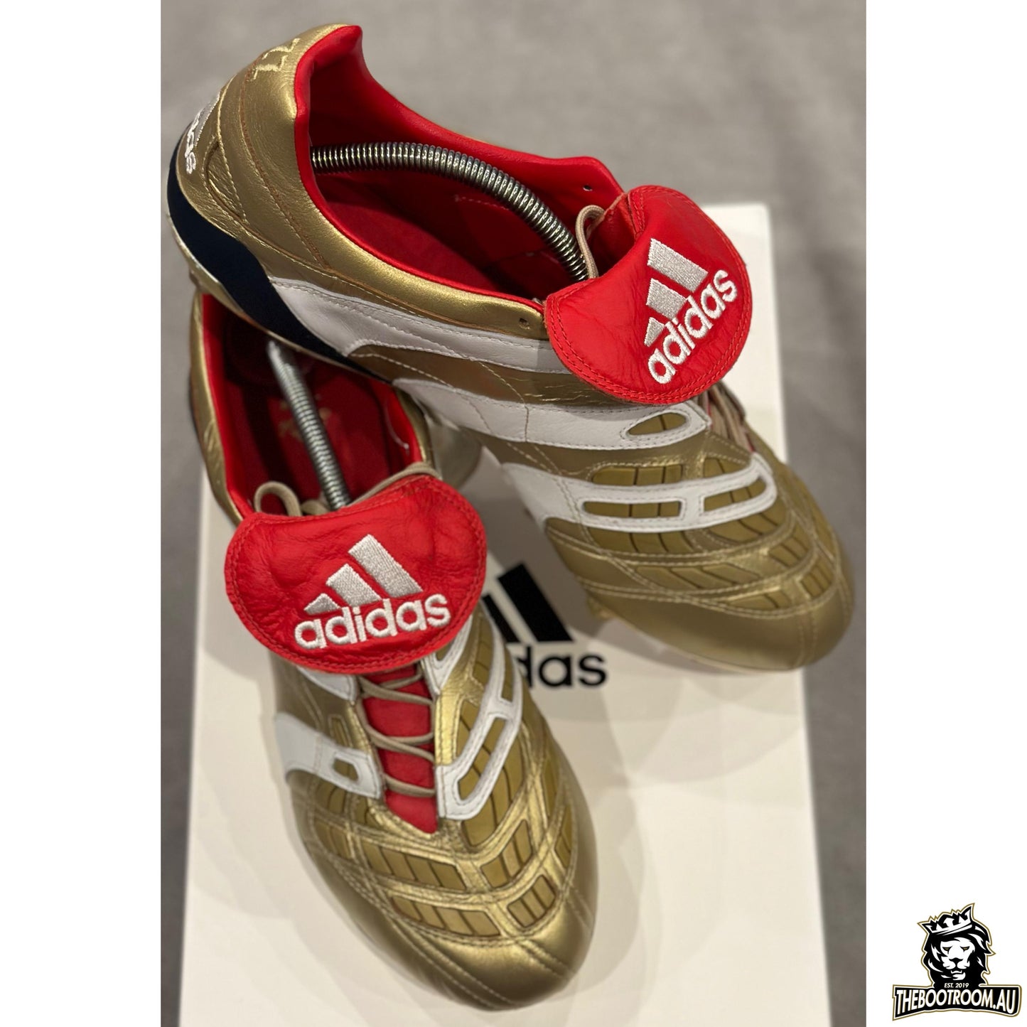 ADIDAS PREDATOR ACCELERATOR 19 "25 YEARS OF PREDATOR” ZZ10