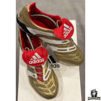 ADIDAS PREDATOR ACCELERATOR 19 "25 YEARS OF PREDATOR” ZZ10