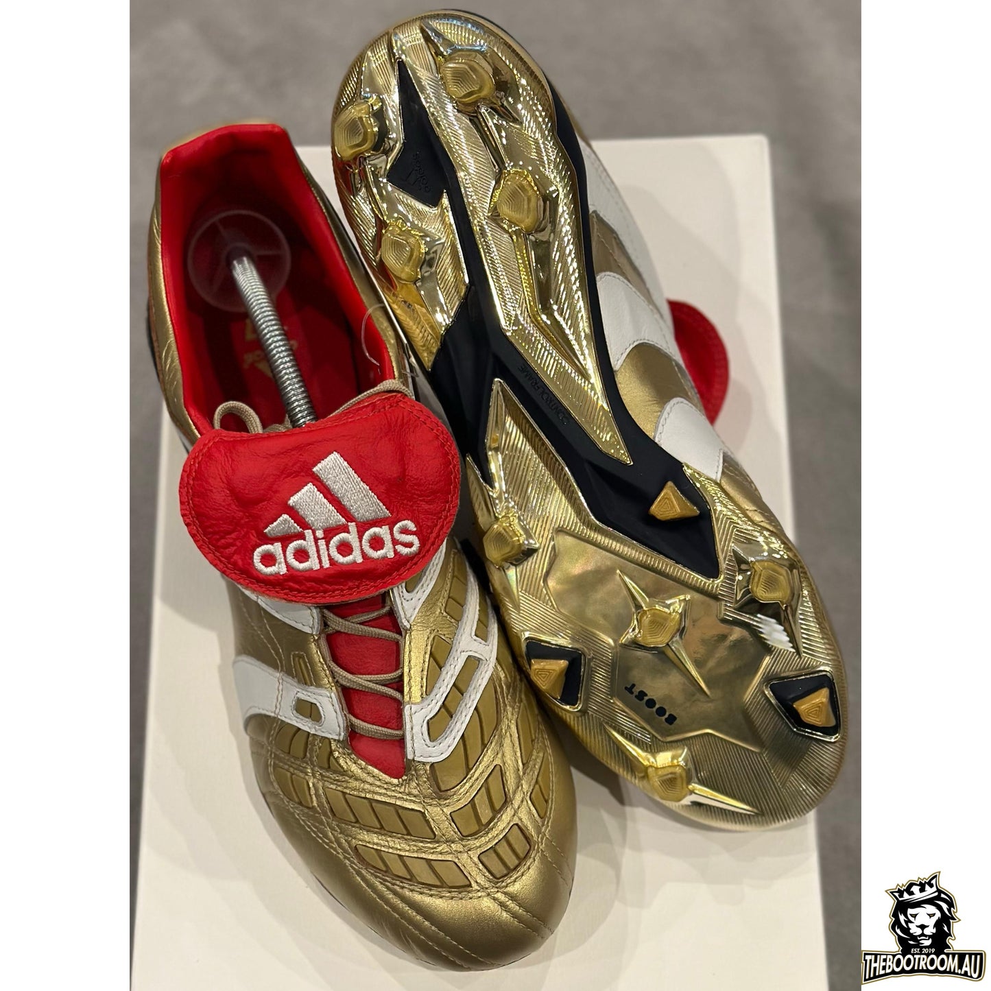 ADIDAS PREDATOR ACCELERATOR 19 "25 YEARS OF PREDATOR” ZZ10