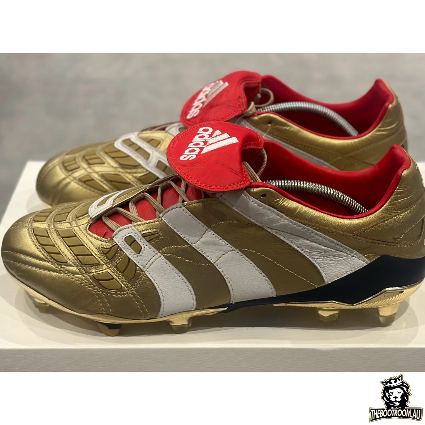 ADIDAS PREDATOR ACCELERATOR 19 "25 YEARS OF PREDATOR” ZZ10