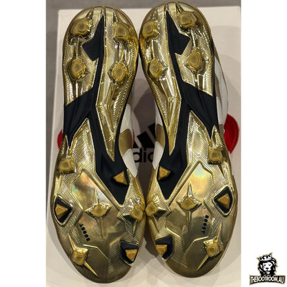 ADIDAS PREDATOR ACCELERATOR 19 "25 YEARS OF PREDATOR” ZZ10