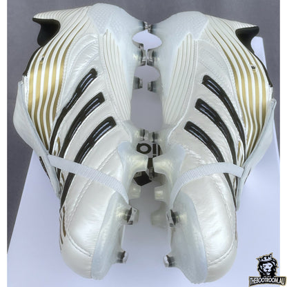 ADIDAS PREDATOR ABSOLUTE 20 “ETERNAL CLASS”