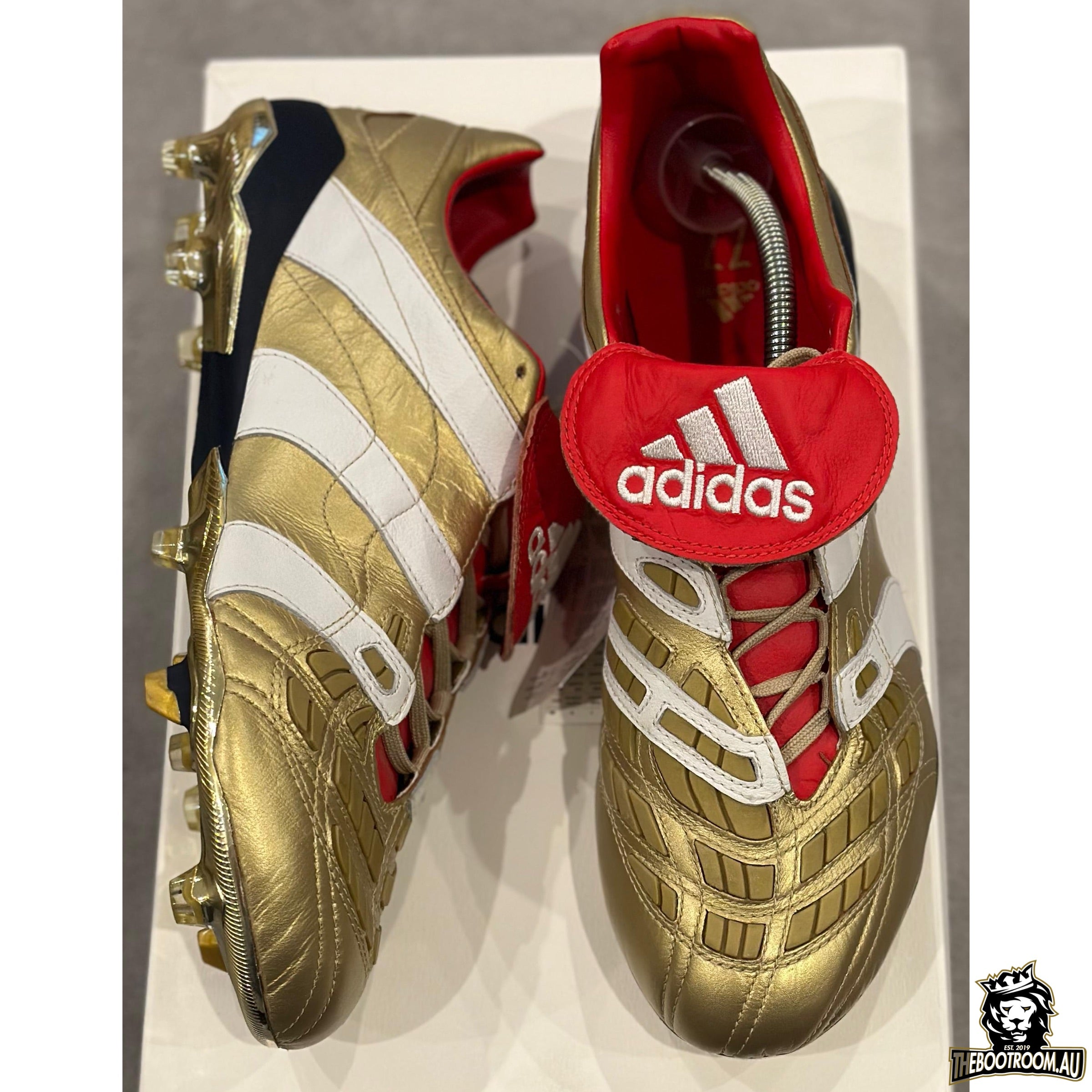 ADIDAS PREDATOR ACCELERATOR 19 25 YEARS OF PREDATOR ZZ10 10