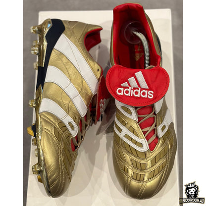 ADIDAS PREDATOR ACCELERATOR 19 "25 YEARS OF PREDATOR” ZZ10