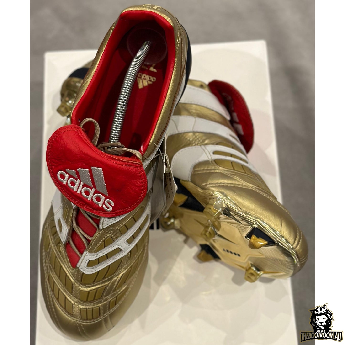 ADIDAS PREDATOR ACCELERATOR 19 "25 YEARS OF PREDATOR” ZZ10