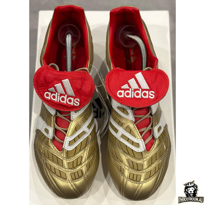 ADIDAS PREDATOR ACCELERATOR 19 "25 YEARS OF PREDATOR” ZZ10