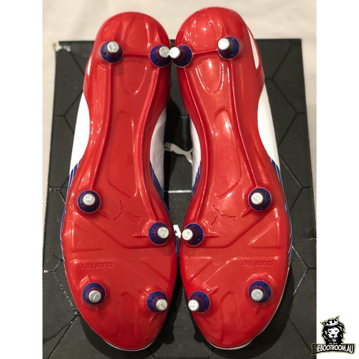 PUMA evoSPEED 1 SG