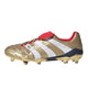 ADIDAS PREDATOR ACCELERATOR 19 "25 YEARS OF PREDATOR” ZZ10